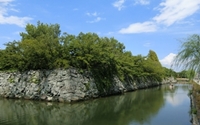 徳島城跡は公園として多くの人が訪れる